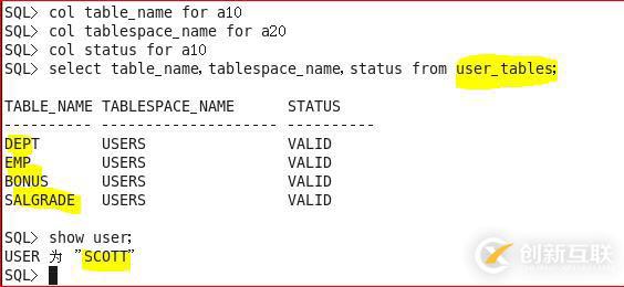 Oracle 11g R2 数据字典