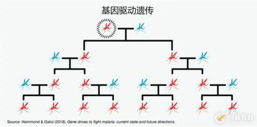 AI+基因编辑，为何成为比尔·盖茨口中的救命良方？