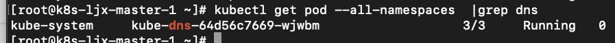 K8S 运维技巧--DNS 部分;