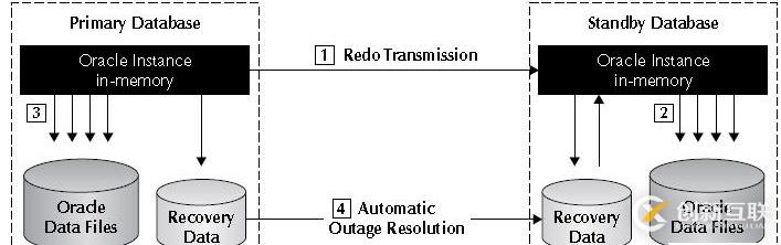 Oracle学习之DATAGUARD(一) DG架构