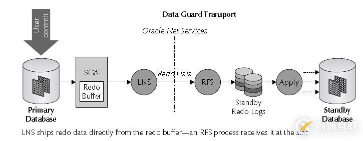 Oracle学习之DATAGUARD(一) DG架构