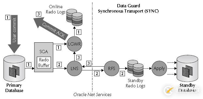 Oracle学习之DATAGUARD(一) DG架构