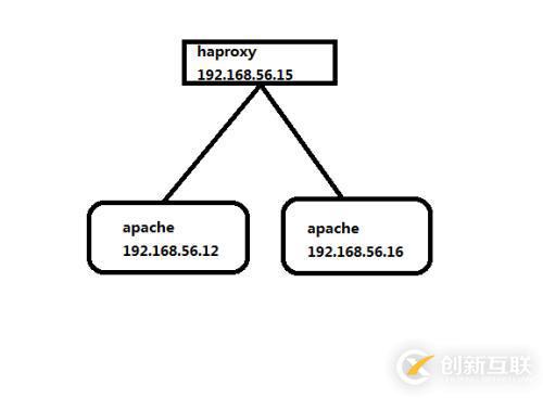 haproxy 的安装