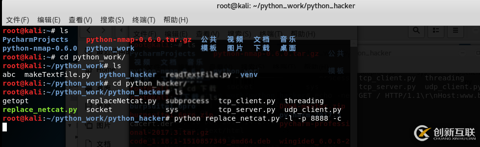 Python黑帽子取代netcat的示例分析