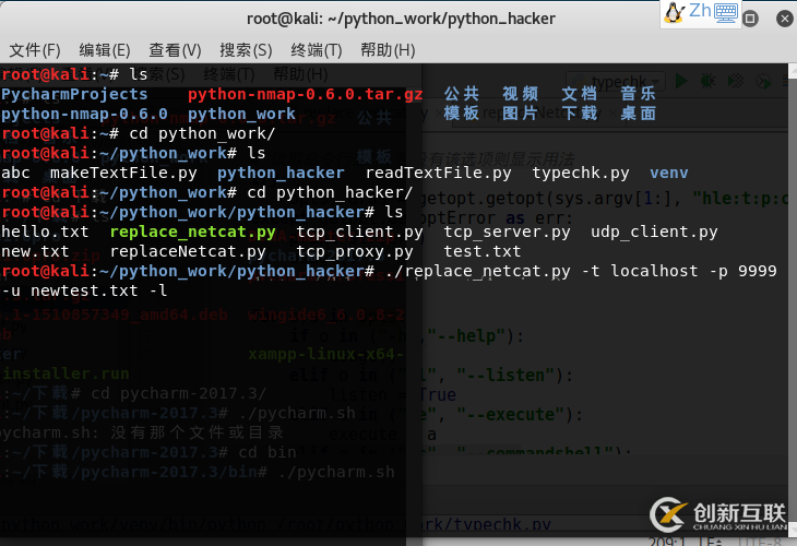 Python黑帽子取代netcat的示例分析