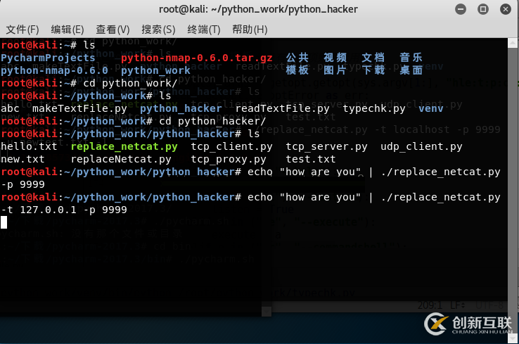 Python黑帽子取代netcat的示例分析