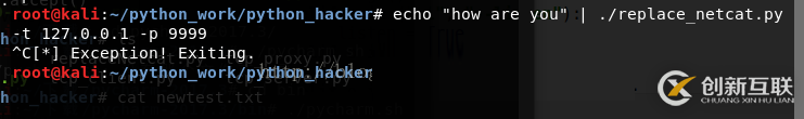 Python黑帽子取代netcat的示例分析