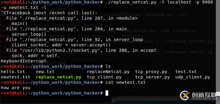 Python黑帽子取代netcat的示例分析