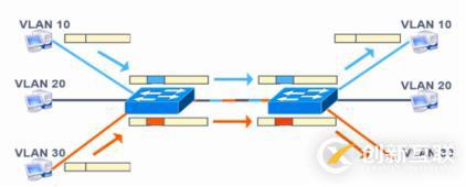 VLAN、Trunk、三层交换机（划重点，要考）