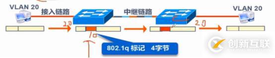 VLAN、Trunk、三层交换机（划重点，要考）