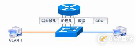 VLAN、Trunk、三层交换机（划重点，要考）