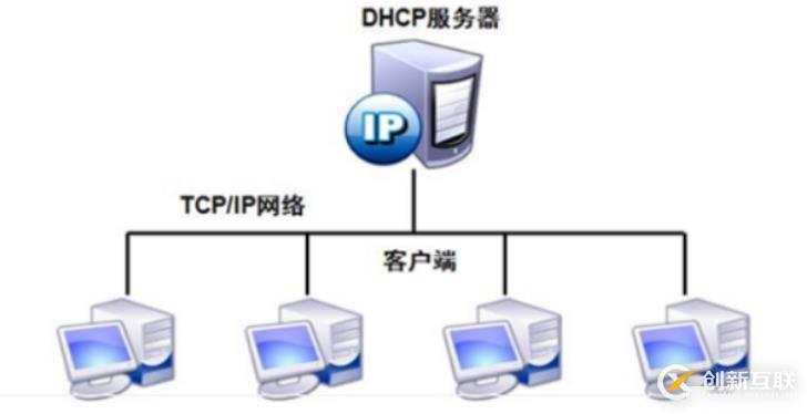 原理：DHCP原理与配置