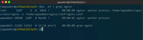 linux查看nginx是否启动的方法