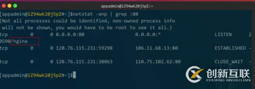 linux查看nginx是否启动的方法