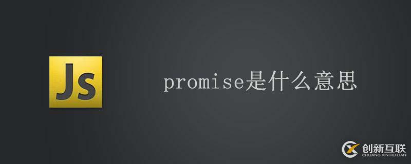 promise的意思