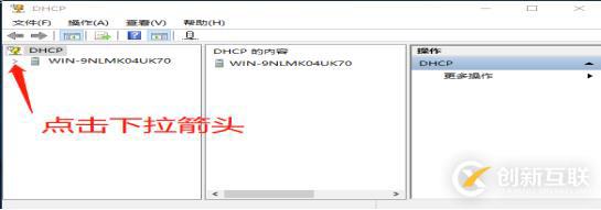 DNS+Web+DHCP服务架构