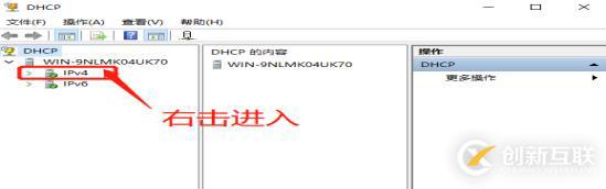 DNS+Web+DHCP服务架构