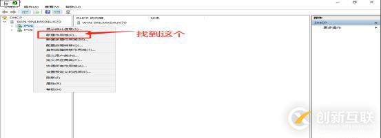 DNS+Web+DHCP服务架构