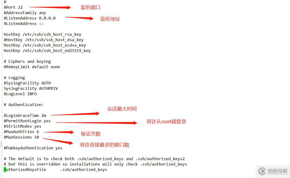 鹅厂数据库为联合国全球大规模的线上对话提供技术支持！