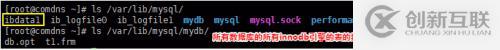 MySQL数据库及表的管理