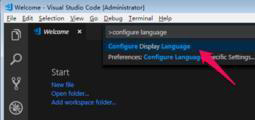 vscode中怎么设置中文语言环境
