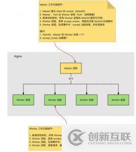 Nginx的运行速度为什么这么快