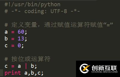 Python位运算符