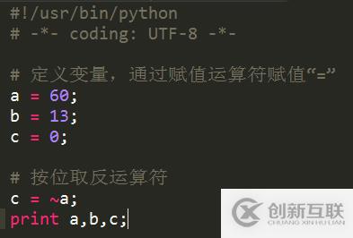 Python位运算符