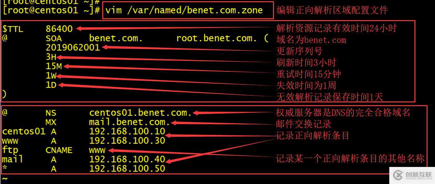 CentOS7如何搭建DNS服务