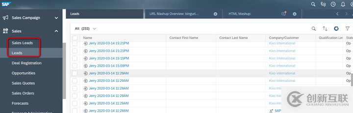 怎么在SAP Cloud for Customer页面嵌入自定义UI