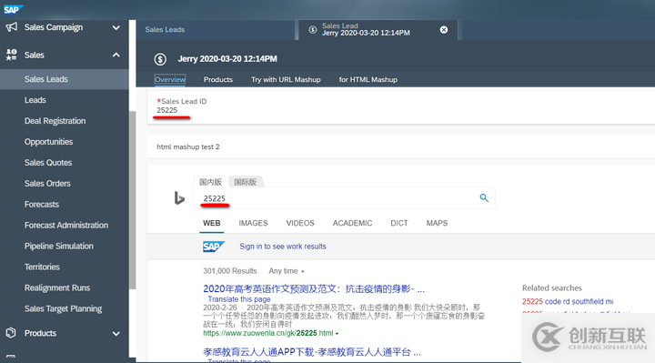 怎么在SAP Cloud for Customer页面嵌入自定义UI