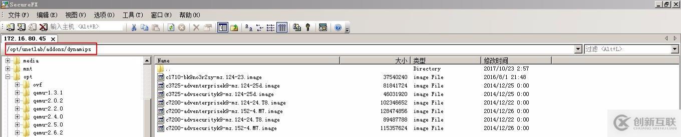 2、EVE-NG镜像导入（Dynamipshe和IOL）