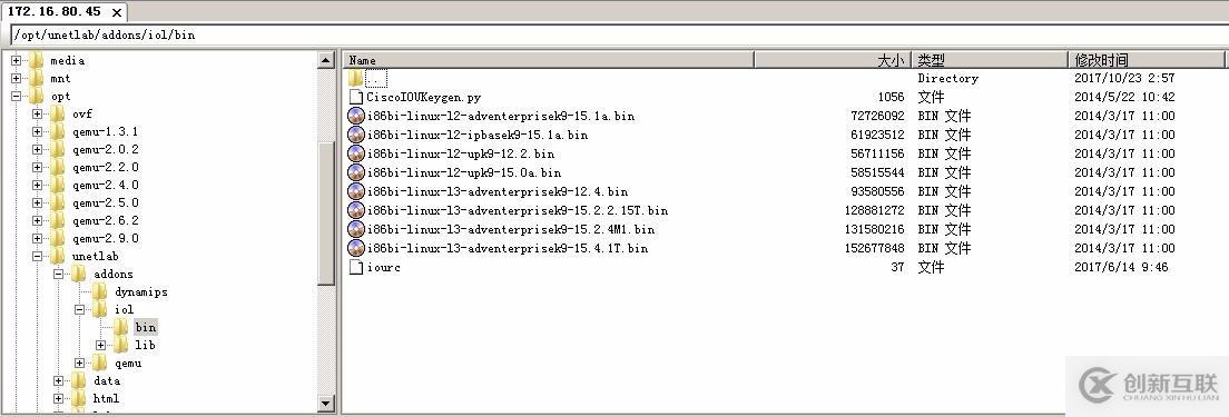 2、EVE-NG镜像导入（Dynamipshe和IOL）