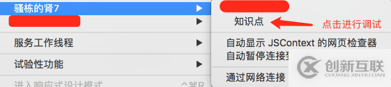 iOS如何调试WebView