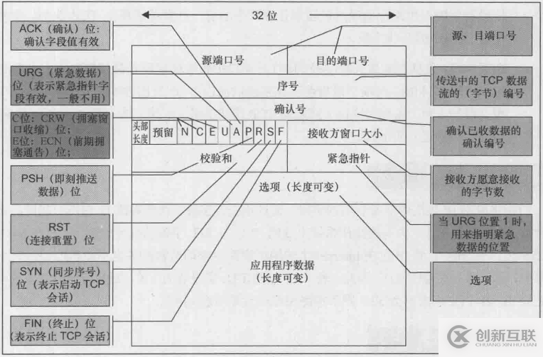 数据包、着色规则和提示