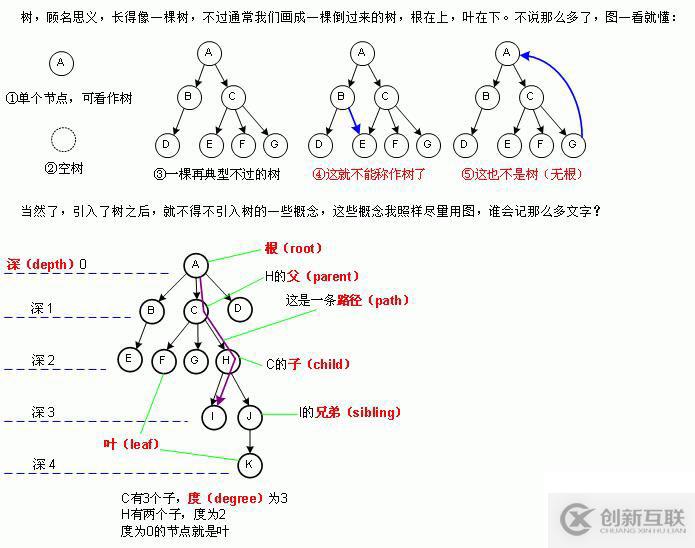 二叉树常考面试题