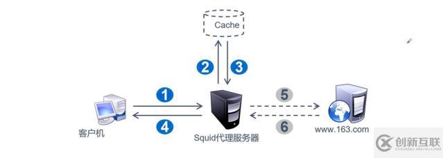 Squid缓存代理部署——传统+透明（超详细）