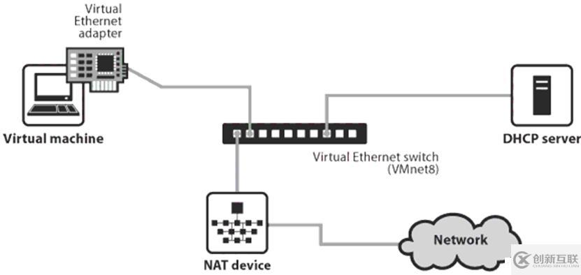 虚拟机Linux网络配置