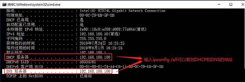 基于DHCP+DNS+WEB的小型架构