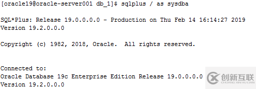 Oracle 19C 下载和安装