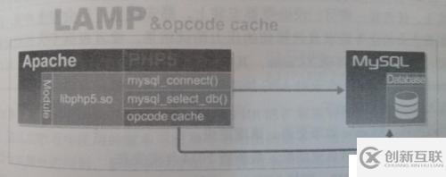 LAMP和LNMP环境PHP缓存加速器的原理