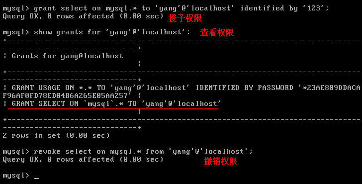 MySQL的权限设置和备份还原