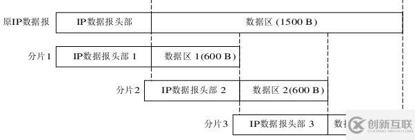 ip数据报的格式有什么