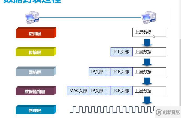 网络基础七层原理（重点1，网络小白必备知识）