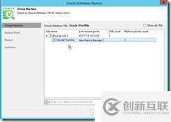 VEEAM9.5 Oracle 11g Windows 备份还原手册