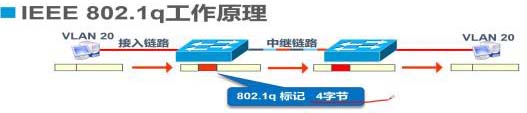 Trunk与三层交换机原理