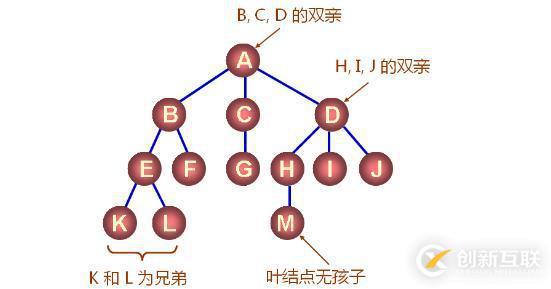 数据结构之树（三十四）