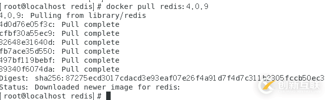 怎么在docker中以配置文件的方式启动redis