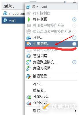 vSphere使用vCenter  server进行虚拟主机管理