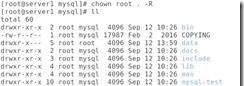 Lamp环境中如何搭建Mysql与PHP环境的搭建